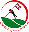 Canis Lupus Lebanon